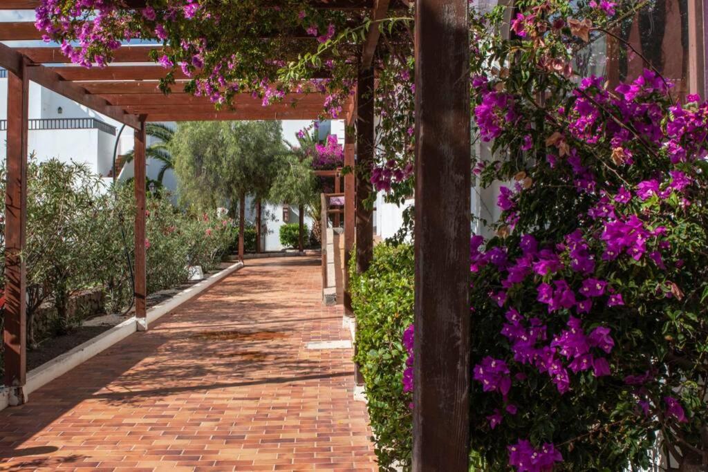 The Colors House Apartamento Costa Teguise Exterior foto